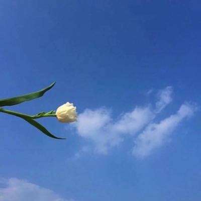 梦幻模拟战手游公测版下载